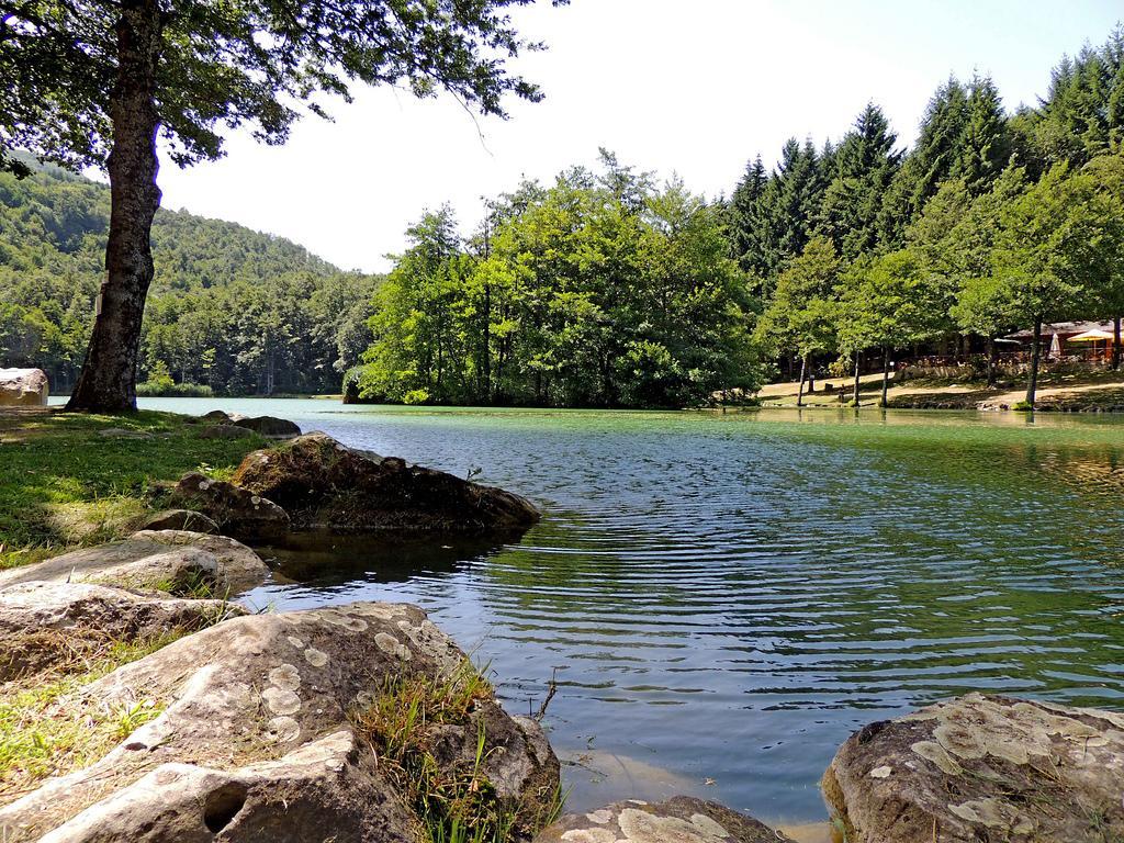Agriturismo Il Falco Del Monte Fumaiolo Alfero المظهر الخارجي الصورة